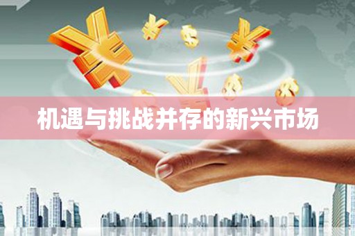 彝良机遇与挑战并存的新兴市场