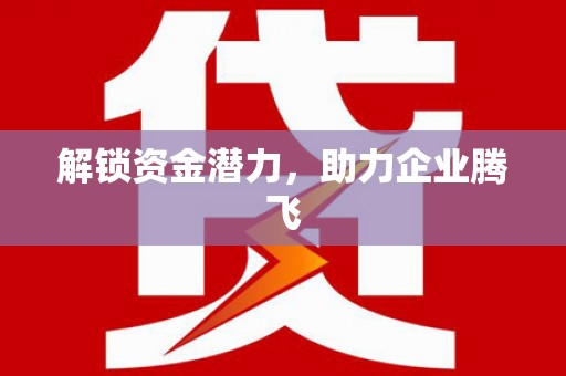 彝良解锁资金潜力，助力企业腾飞