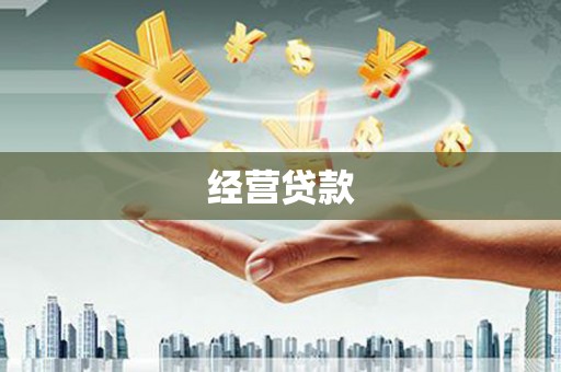 彝良经营贷款