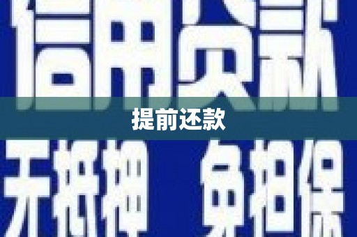 彝良提前还款