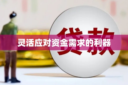 彝良灵活应对资金需求的利器