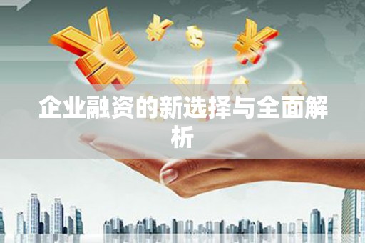 彝良企业融资的新选择与全面解析