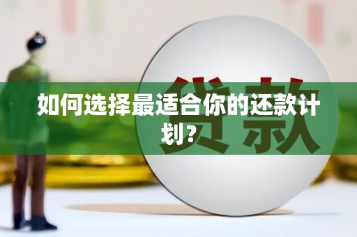 彝良如何选择最适合你的还款计划？
