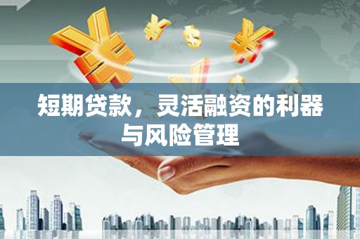 彝良短期贷款，灵活融资的利器与风险管理