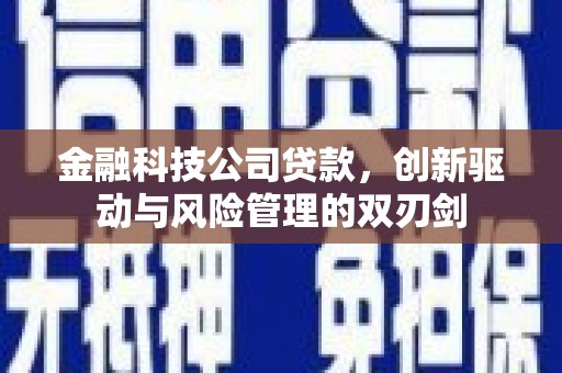 彝良金融科技公司贷款，创新驱动与风险管理的双刃剑